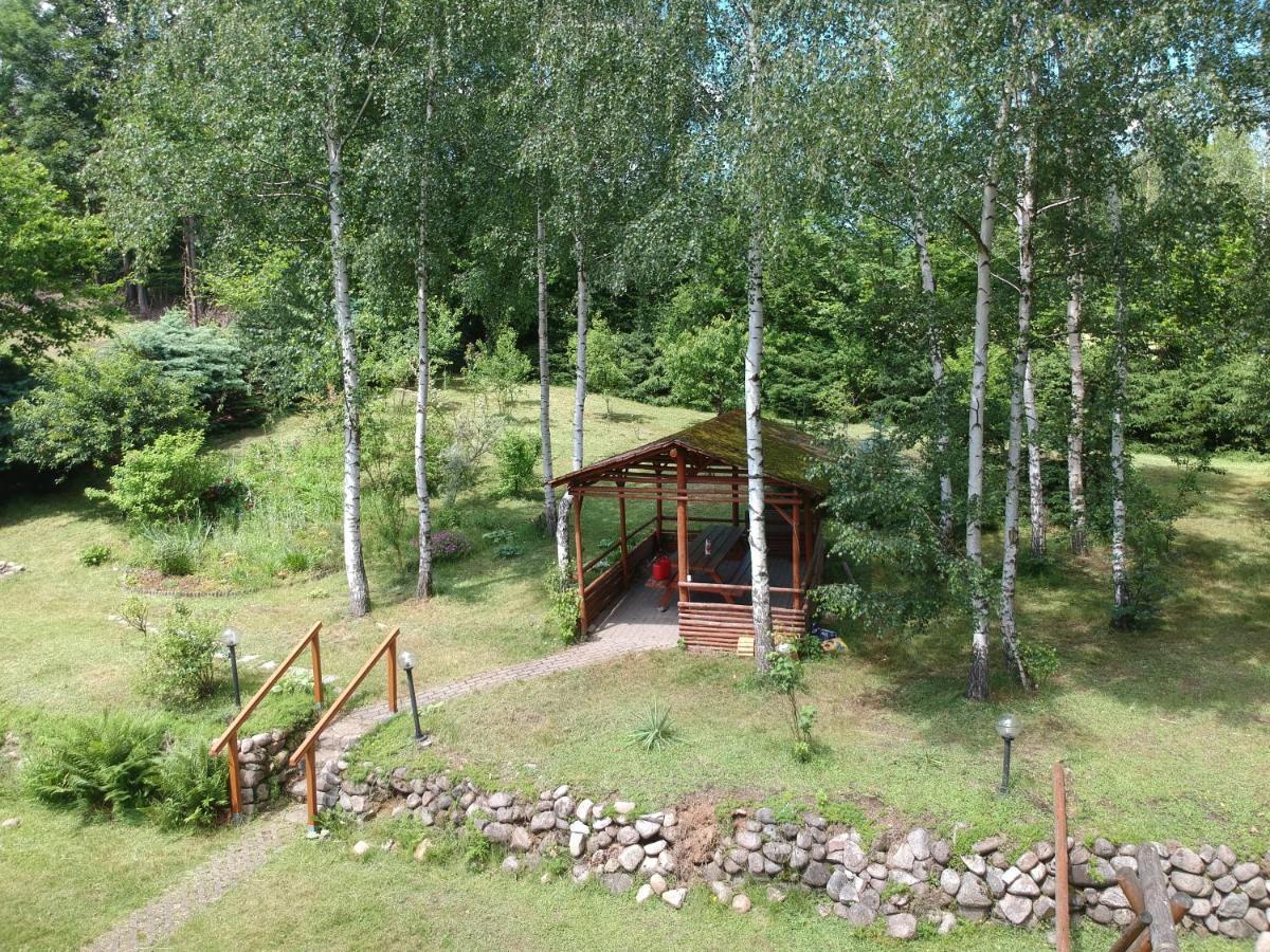 Chata Gorska Sowa Dla 12 Osob, 4 Sypialnie,Salon Z Kominkiem Villa Podgorzyn Ngoại thất bức ảnh