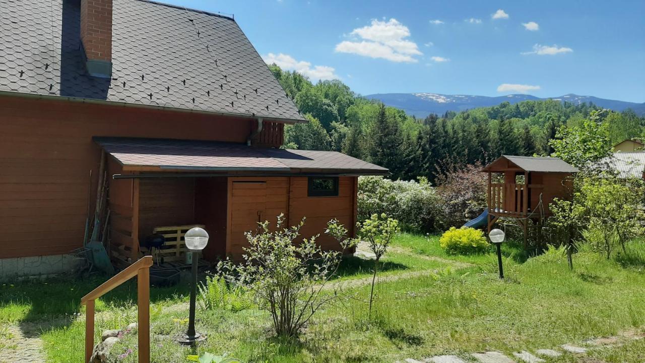 Chata Gorska Sowa Dla 12 Osob, 4 Sypialnie,Salon Z Kominkiem Villa Podgorzyn Ngoại thất bức ảnh