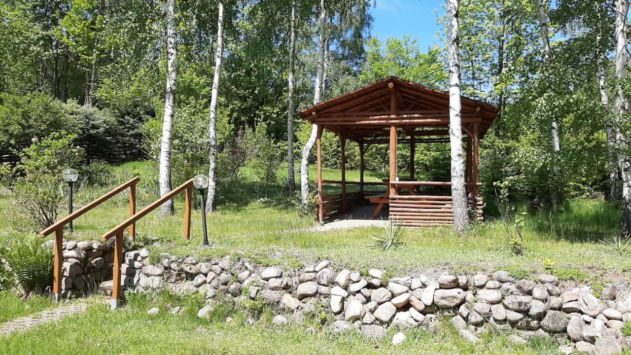 Chata Gorska Sowa Dla 12 Osob, 4 Sypialnie,Salon Z Kominkiem Villa Podgorzyn Ngoại thất bức ảnh