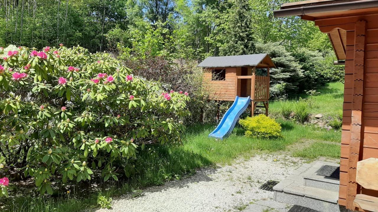 Chata Gorska Sowa Dla 12 Osob, 4 Sypialnie,Salon Z Kominkiem Villa Podgorzyn Ngoại thất bức ảnh
