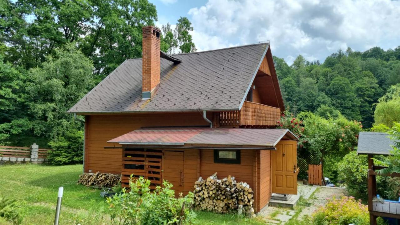 Chata Gorska Sowa Dla 12 Osob, 4 Sypialnie,Salon Z Kominkiem Villa Podgorzyn Ngoại thất bức ảnh